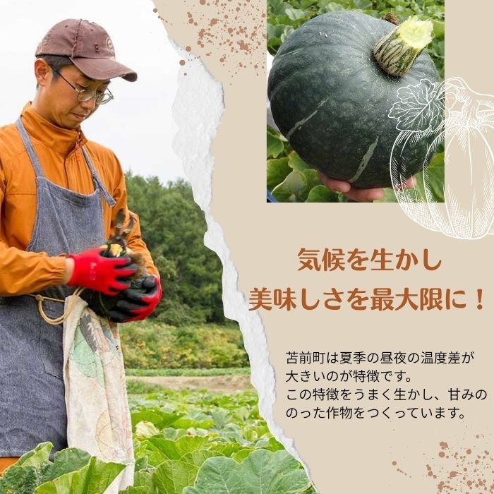 【NHKあさイチで紹介されました！】上田ファームのかぼちゃ団子（チーズin）300g×3 北海道産かぼちゃ使用 カボチャ だんご 国産 手作り おかず おやつ スイーツ 軽食 冷凍 南瓜 郷土料理 北