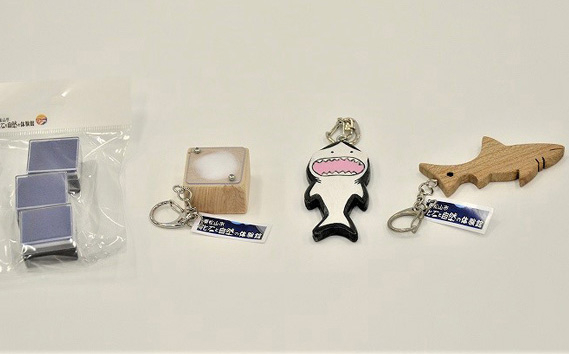 化石と自然の体験館　手ぶらで発掘セット（1名分） 【 化石 化石発掘 チケット 体験 1名分 東松山 】