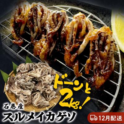 ふるさと納税 石巻市 訳あり 石巻産スルメイカゲソ 2kg 12月配送 冷凍 国産 いか 下足 おつまみ ゲソ天 おかず