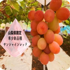 サンシャインレッドと富士の輝