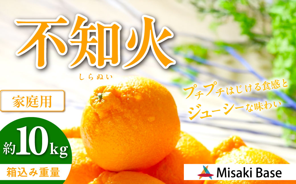 
                  【先行受付】【家庭用】不知火（しらぬい） 約10kg ※離島への配送不可 （2027年3月上旬より順次発送）  【ふるさと納税 人気 おすすめ ランキング みかん 柑橘 ミカン 蜜柑 mikan 果物 不知火 しらぬい フルーツ 糖度 甘い でこぽん デコポン でこぽんと同品種 家庭用 おすそ分け Misaki Base 愛媛県 伊方町 送料無料】 IKTAB004 
                