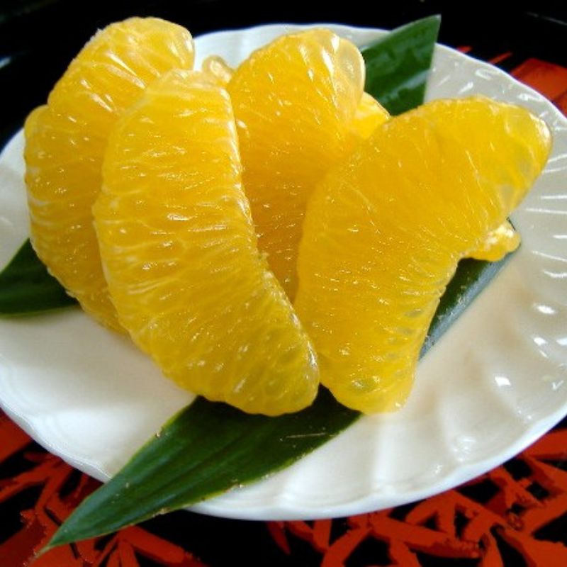 【ふるさと納税】和歌山由良町産 さつきはっさく 約5～10kg 秀品 サイズおまかせ (Lまたは2Lいずれかお届け)/ 八朔 柑橘 果物 くだもの フルーツ