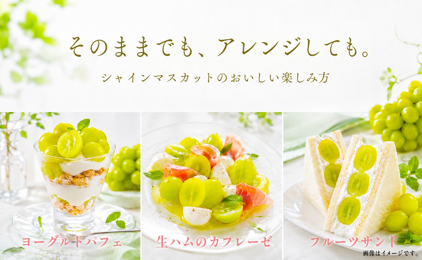 お申し込み前にご確認ください。