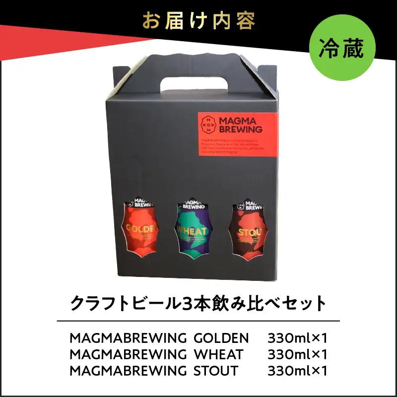 クラフト ビール 3本 飲み比べ セット K267-001 酒