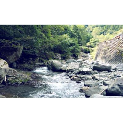 ふるさと納税 富士川町 「富士の介」特性漬け魚セット |  | 03