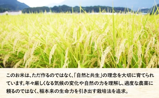 【10営業日以内に発送！】米 令和7年度産 藤の米(ふじのまい) 5kg ＜フジノ農園＞那珂川市 [GCO003] おこめ ご飯 夢つくし 元気つくし 米