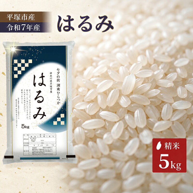 【ふるさと納税】 米 はるみ 5kg お米 こめ コメ 精米 白米 特A 受賞歴あり 令和7年産 精米 お米 コメ こめ ライス ご飯 白米 お米 5kg 米5kg おにぎり 弁当 湘南産 湘南 平塚産 平塚市産 令和7年産 R7年産 2025年産 神奈川県 平塚市
