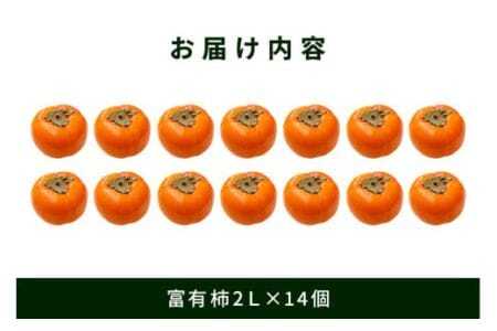 【 2025年 先行予約 】 富有柿 2L 14玉 1段箱 坂川果樹園 柿 甘い柿 かき 富有カキ 甘い 果物 フルーツ くだもの カキ 富有かき 秋 旬 甘柿 糖度 贈答用 贈答品 ギフト 贈り物 
