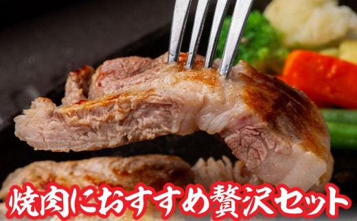 黒豚のロースステーキ肉とソーセージの焼肉用セット 【 ふるさと納税 人気 おすすめ ランキング 北海道産 黒豚 豚肉 ロース バラ肉 リブロース  ステーキ 肉 ソーセージ 焼肉用 セット BBQ 鹿