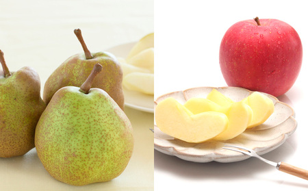 【定期便4回】イチオシフルーツ！やまがた宝箱A　(2024年～2025年お届け)  FZ23-675