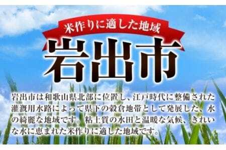 米 こめ 岩出市応援米 約5kg 《30日以内に出荷予定(土日祝除く)》 米米米