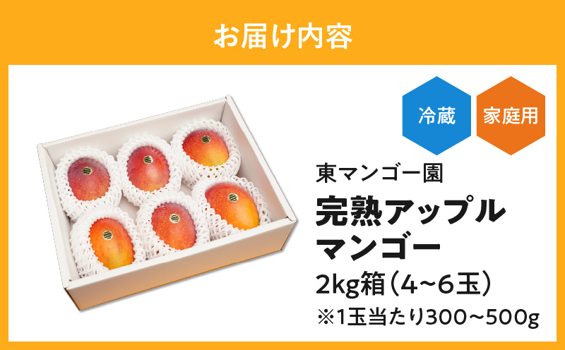 【2027年先行予約】≪ご家庭用≫東マンゴー園直送！完熟アップルマンゴー 2kg（４～６玉）　W014-010u