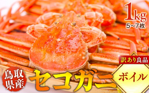 【ボイル】鳥取県産 セコガニ 訳あり良品 1ｋg(5～7枚) ※2026/11/6～2026/12/25に順次発送予定※着日指定不可  離島不可（北海道、沖縄本島は配送可能）｜ 蟹 かに せこがに せこ蟹 訳あり 家庭用 鳥取県産 北栄町 おすすめ 人気