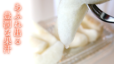 極上の雫 『 豊水 』 5kg ( 自家用 ) フルーツ 果物 国産 日本産 梨 ナシ なし 和梨 [DJ002ci]