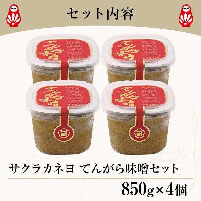 てんがら味噌セット（850g×4個）麦味噌　鹿児島県産【00-002-20】