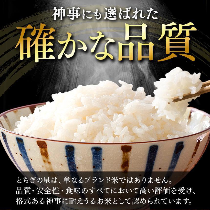 栃木県産 お米 とちぎの星 20kg |  栃木県 矢板市 【栃木県共通返礼品】