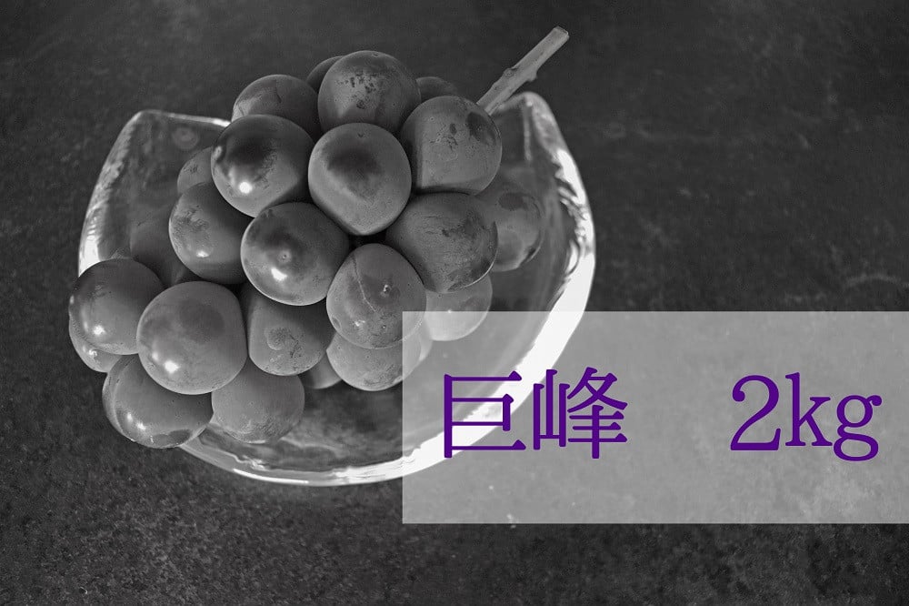 
【2025年発送】巨峰 2.0kg相当 [山梨 巨峰 先行予約] 先行 予約 山梨県産 産地直送 フルーツ 果物 くだもの ぶどう ブドウ 葡萄 新鮮 人気 おすすめ 国産 贈答 ギフト お取り寄せ 山梨 甲斐市 AD-143
