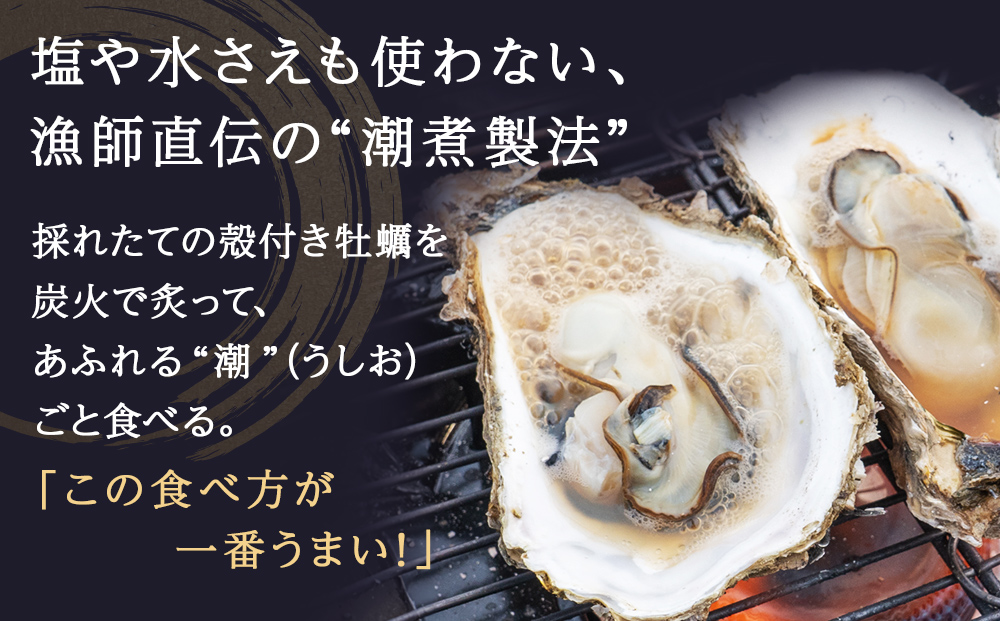 牡蠣の潮煮×10個セット