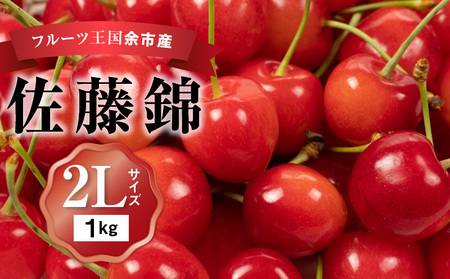 さくらんぼの王様 佐藤錦 500g×2パック 合計1kg(2L) 【2025年発送先行予約】 余市 北海道 フルーツ王国 さくらんぼ サクランボ 桜桃 佐藤錦 余市産さくらんぼ  小分けさくらんぼ  人気さくらんぼ ニトリ _Y074-0109