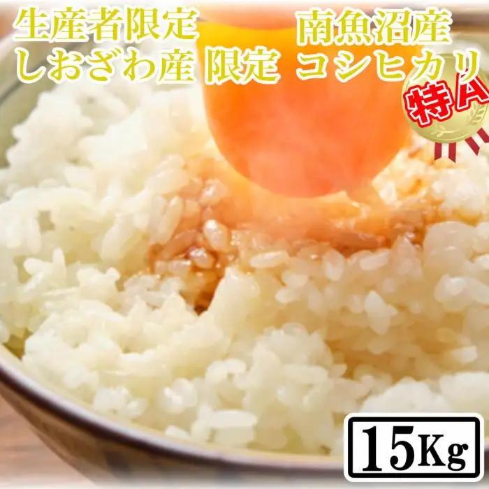 【令和7年】【精米15kg】しおざわ産限定 生産者限定 南魚沼産コシヒカリ｜コシヒカリ