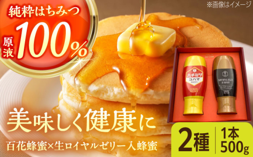 コハマのハチミツ 500g 2本セット 蜂蜜 はちみつ ハチミツ 国産 ギフト 沖縄市 / 農業生産法人株式会社小浜養蜂場 [BCAQ004]