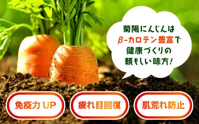 【5月から順次発送予定】【数量限定】菊陽町の春にんじん 5kg 人参 ニンジン 菊陽にんじん にんじん 5キロ 熊本県産 春にんじん 【有限会社さんふれあ】 [BHAK001]