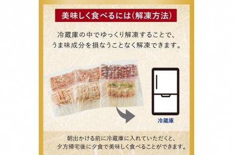 国産焼き鳥セット 5種盛り合わせ60本　KN00001