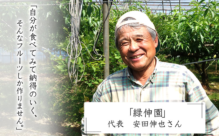 『緑伸園』の旬の梨 約5kg《8月中旬-9月下旬頃出荷》 旬の品種をお届け 予約受付中  6-13玉前後入り 【ふるさと納税】 梨 フルーツ  旬 豊水 あきづき 新高