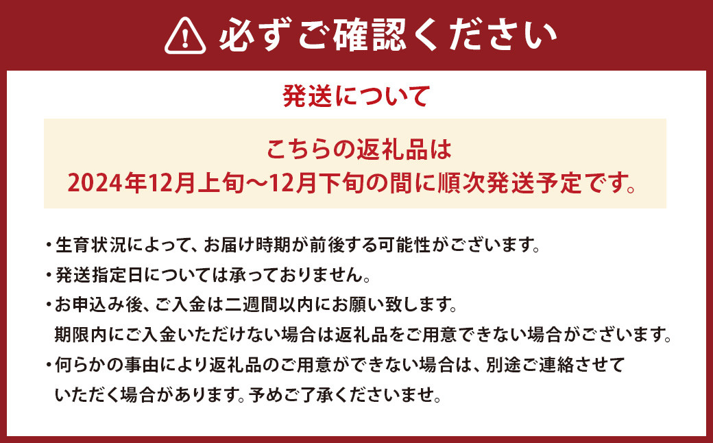 山形県産 りんご ふじ 約5kg 秀品 