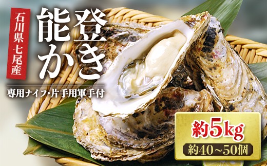 【能登半島地震復興支援】魚介類 牡蠣　/ 能登かき　殻付牡蠣 半缶/約5kg（約40～50個） 専用ナイフ 片手用軍手付 /世界農業遺産「能登の里山里海」｜ カキ かき オイスター 国産 加熱用 冷蔵 カキフライ 牡蠣鍋 海鮮 魚介 石川県 七尾市 能登  ※要加熱 ※2026年1月下旬～5月下旬頃に順次発送予定 ※離島への配送不可