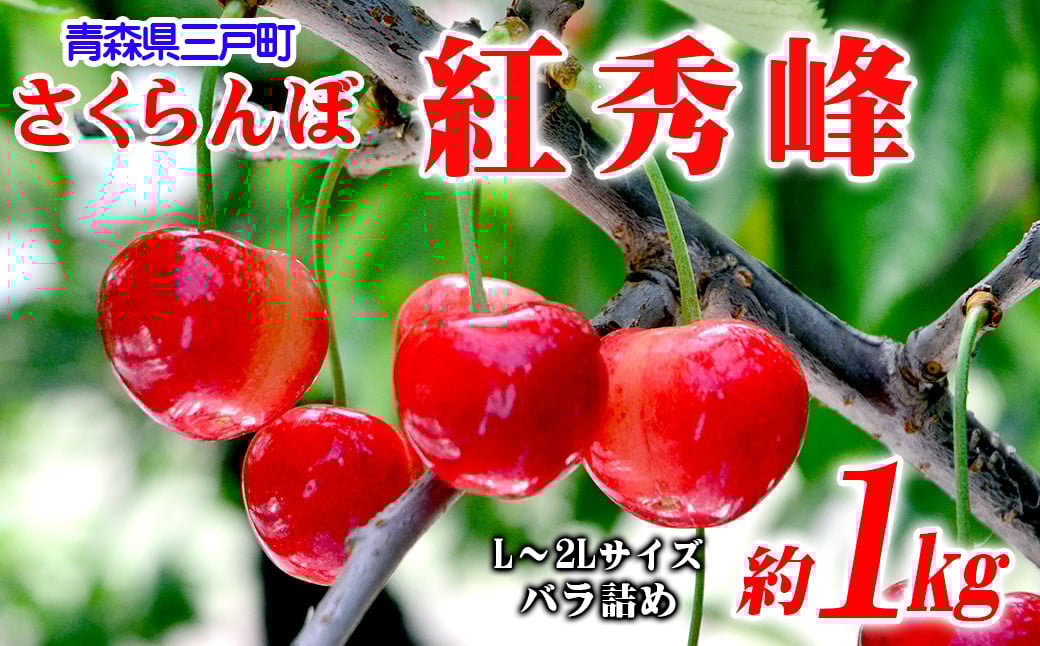 
            さくらんぼ【紅秀峰】 約1kg（L～2Lサイズ）バラ詰め【2025年産・先行予約】★2025年6月下旬～7月中旬頃にかけて順次発送予定★ 青森県三戸町産
          