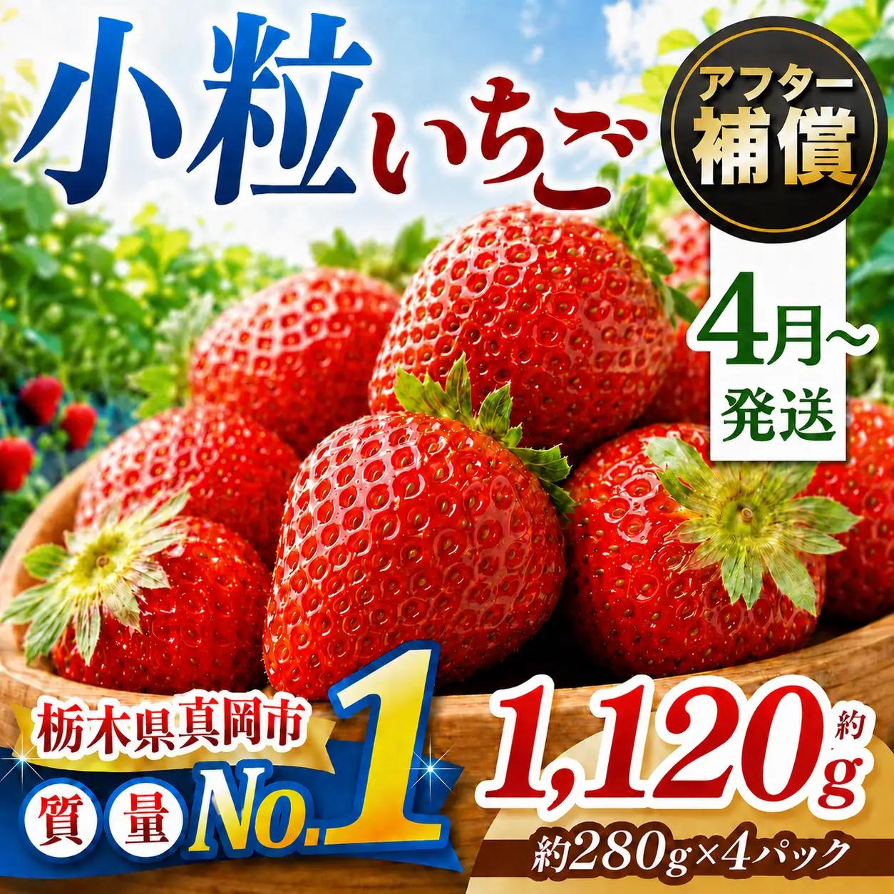 【先行予約受付中】【2027年4月発送】小粒 とちあいか 約1120g （280g×4パック）