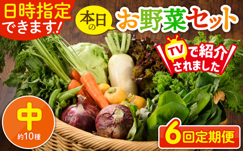 日時指定可能！本日のお野菜セット（サイズ中）【全６回定期便】