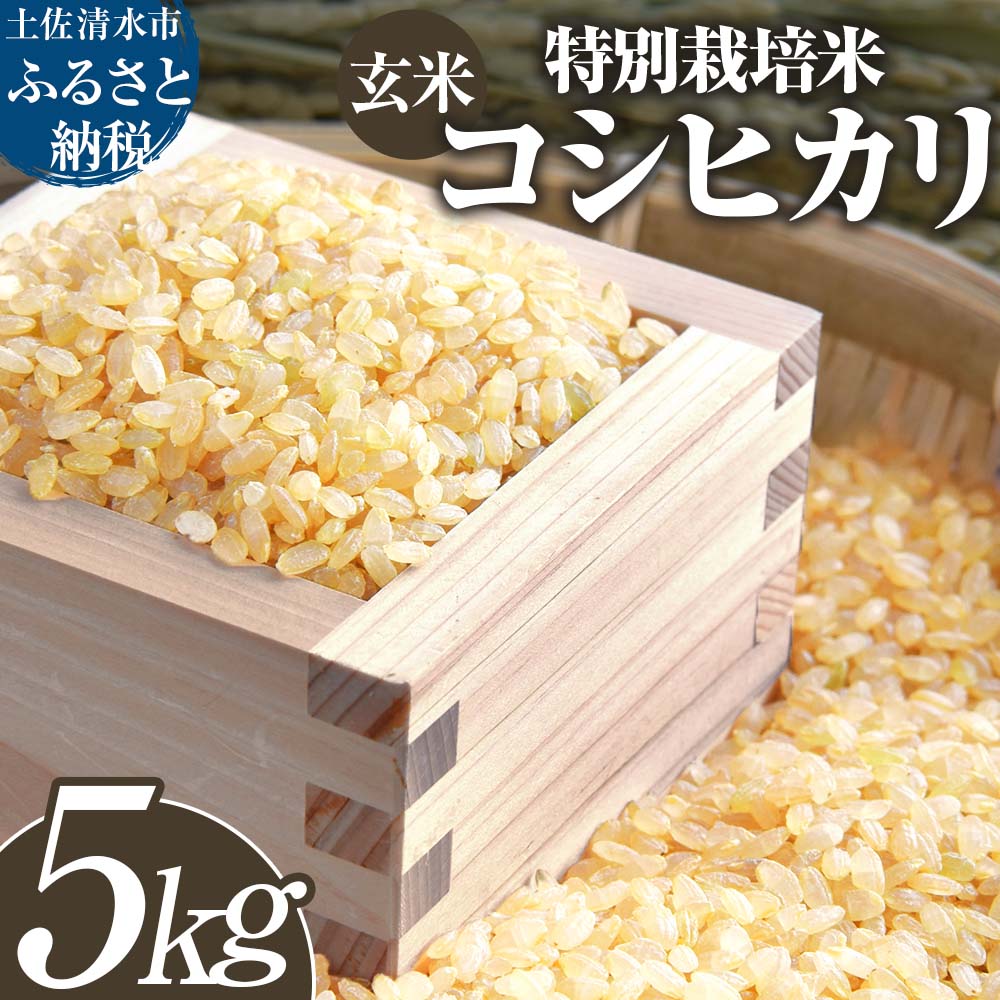 【ふるさと納税】 玄米 特別栽培米 コシヒカリ 5kg 5キロ 先行予約 令和7年8月中旬以降順次発送予定 お米 おこめ 米 こめ ごはん 飯 こしひかり ブランド米 おいしい 国産 土佐清水産 送料無料 高知県 土佐清水市 故郷納税 返礼品 高知 15000円【R01395】