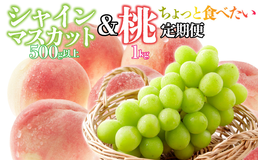
                  【ちょっと食べたい定期便】桃 約1kg(3～4玉)×シャインマスカット500g以上 126-024 | 定期便 桃 シャインマスカット 山梨県産 フルーツ 果物 くだもの シャイン シャインマスカット 新鮮 人気 おすすめ 山梨 笛吹市 |
                