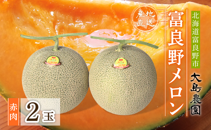 【2026年7月中旬～発送】ふらのメロン 赤肉 2玉 計3.2kg以上 北海道 富良野市 (大島農園)