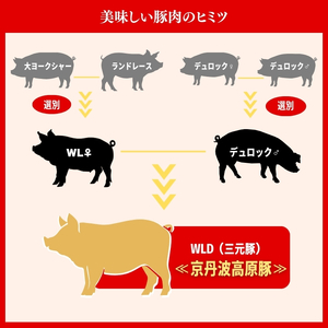 国産豚肉 豚肉 小間切れ 3kg 京丹波高原豚 三元豚 豚肉