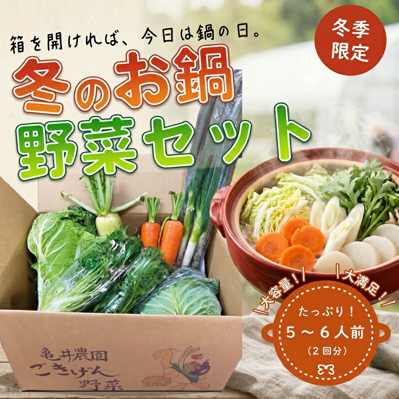 【ふるさと納税】 野菜セット 5～6人前 11月より発送 鍋 鍋野菜 10種類 野菜 詰め合わせ おまかせ 白菜 キャベツ 大根 レタス にんじん ネギ 春菊 水菜 里芋 じゃがいも ほうれん草 寄せ鍋 水炊き キムチ鍋 豆乳鍋 にんにく 旬野菜 10000円 亀井農園 神奈川 湘南 藤沢