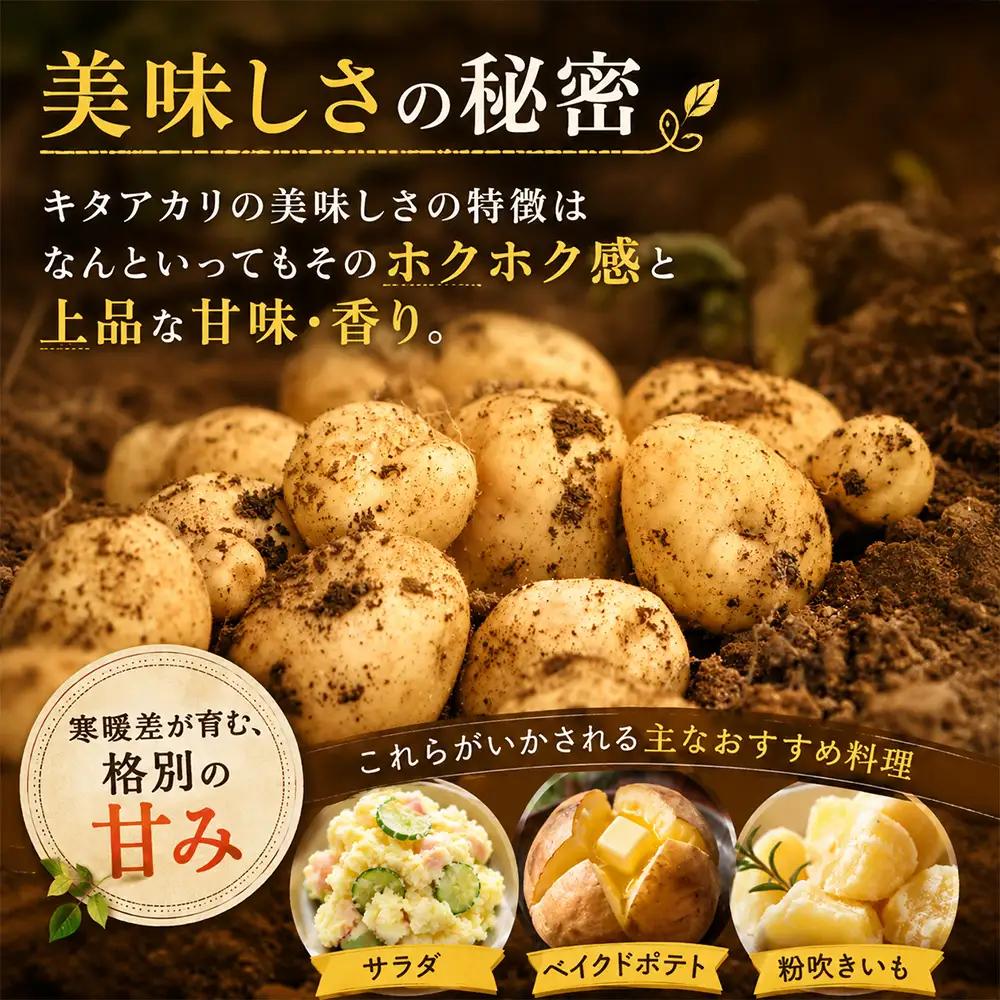 じゃがいも 【令和8年産予約受付】北海道 北あかり5kg じゃがいも [006-29]