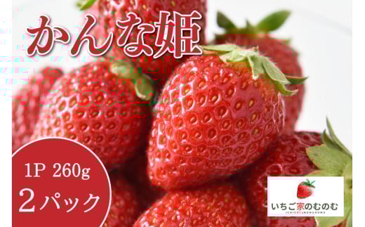 
            いちご かんな姫 2p いちご家のむのむ イチゴ 苺 2パック 国産 果物 フルーツ くだもの 1月 2月 3月 発送 冬 旬 産地直送 農家直送 産直 甘い デザート スイーツ 家庭用 贈答 贈答用 茨城 茨城県 石岡市 (A28-004)
          