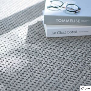 S109(200×250cm/グレー)4色から選べるファブリーズの消臭・抗菌ラグ 2サイズ展開（200×250cm/グレー）