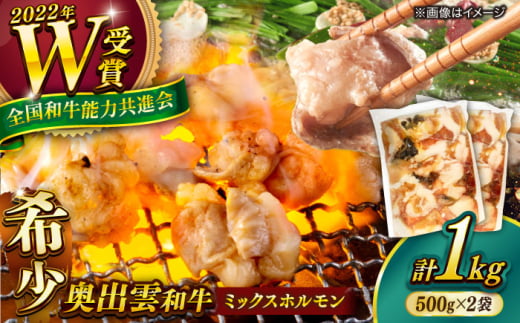 【奥出雲和牛100％】和牛日本一のミックスホルモン 500g×2袋 ホルモン ホルモンミックス 牛 牛肉 焼肉 肉 冷凍 もつ鍋 小腸 BBQ バーベキュー 和牛 ホルモン焼き ホルモン焼肉 贅沢 お取り寄せ 家庭用 自宅用 コラーゲン おつまみ つまみ やきにく アウトドア キャンプ 島根県雲南市/島根県農業協同組合 雲南地区本部 畜産加工所 [AIBQ009]