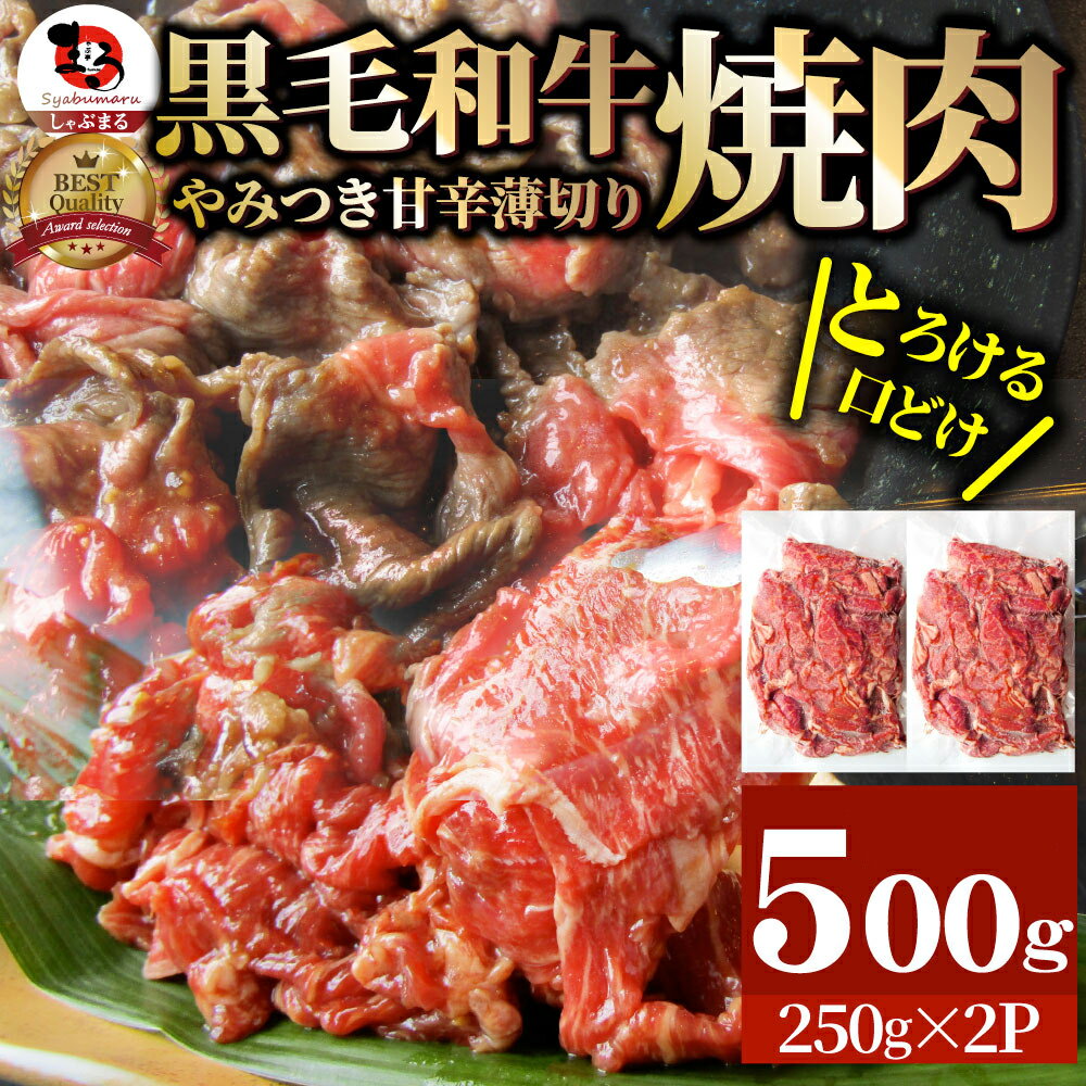 【ふるさと納税】1131-1　とろける黒毛和牛リッチな薄切り焼肉500g(250g×2P) 秘伝のタレ漬け 肉 黒毛和牛 焼肉 タレ 漬け 秘伝 柔らかい 味付き やきにく ロース 肩ロース サーロイン カルビ モモ 薄切り 希少 小分け 厚切り 冷凍 BBQ バーベキュー 香川県 三木町