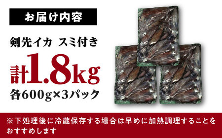 おスミ付き！ 訳アリ 剣先イカ 1.8kg(3パック)≪対馬市≫【対馬地域商社】 冷凍配送 新鮮 いか 簡単調理 産地直送 小分け イカスミパスタ[WAC051]