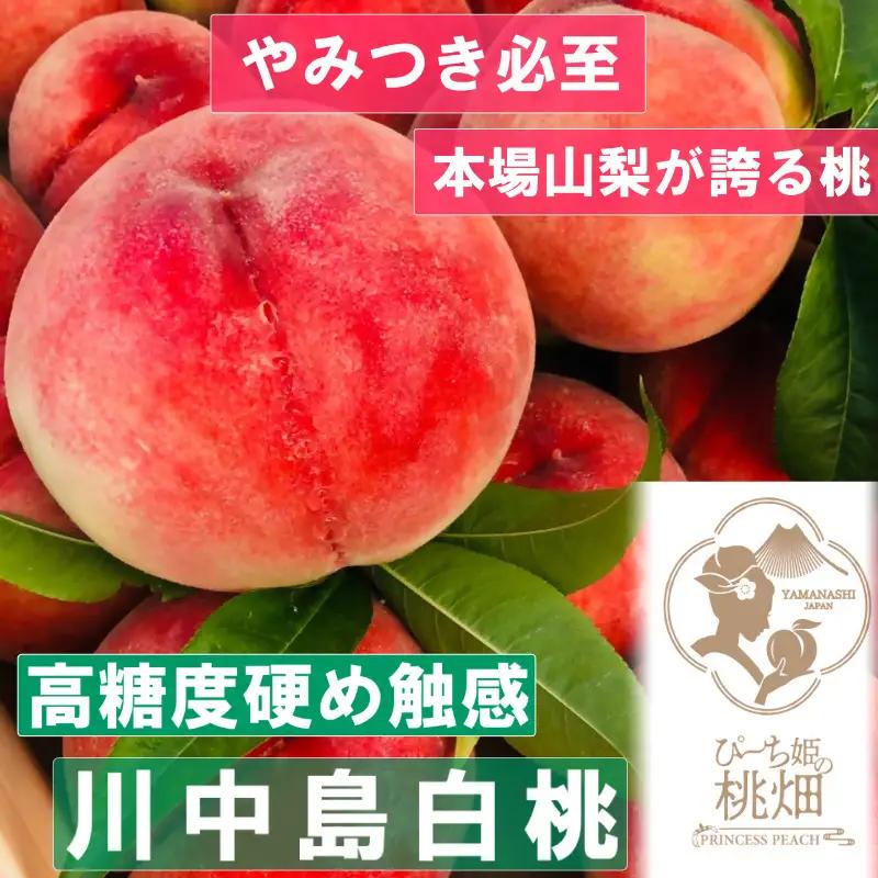 【高糖度大ぶり川中島白桃ブランド】ボリューミー満点 人気No.1の品種 約1kg【2025年発送】（PMK）B17-107 【川中島白桃 桃 もも モモ 令和7年発送 期間限定 山梨県産 甲州市 フルーツ 果物】