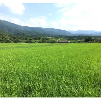 ふるさと納税 佐渡市 【令和6年産】佐渡高千産コシヒカリ 真空包装1kg×4袋(精米) |  | 01