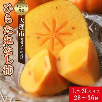 ふるさと納税 天理市 【R8年10月以降発送】刀根早生柿発祥の地・天理市のひらたねなし柿(L〜3Lサイズ、28〜36個)