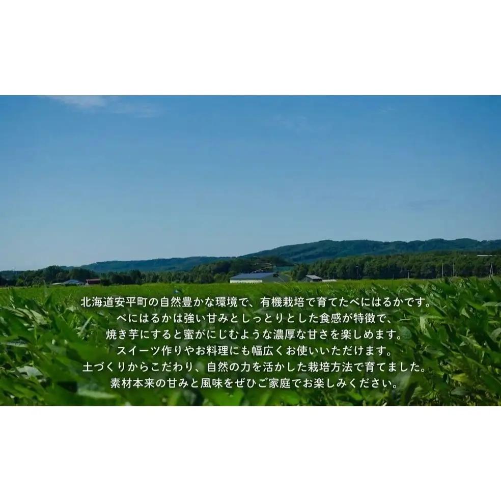 ＜ 先行予約 ＞ オーガニック さつまいも べにはるか 10kg サツマイモ 紅はるか いも イモ 芋 有機栽培 有機野菜 化学農薬不使用 化学肥料不使用 焼き芋 大学芋 北海道 安平町 安平