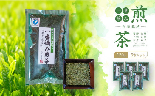 
野洲生まれ　野洲育ち自家栽培　一番摘み煎茶120g　5本セット
