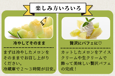 【2027年4月中旬～発送 先行予約】肥後グリーンメロン 2～4玉(合計約4kg) メロン フルーツ 果物 108-0502